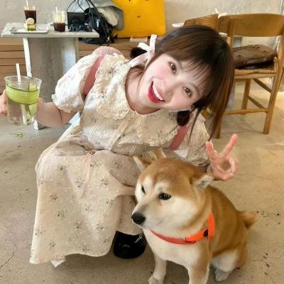 少女骑士物语